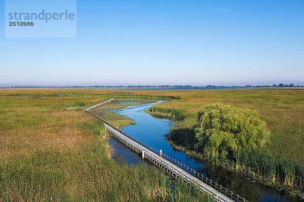 Lake Erie shoreline marsh. Point Pelee National Park  Ontario. Canada.