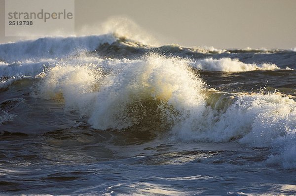 Atlantic ocean waves. Nova Scotia  Canada.