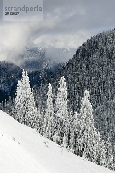 North Shore mountains  Vancouver  BC