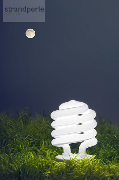 Energy-saving light bulb and full moon.