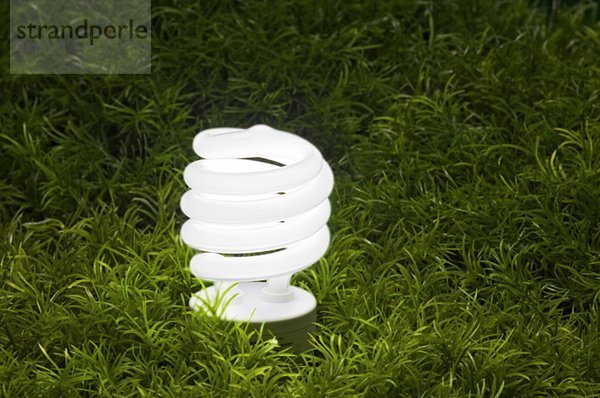 Energy-saving light bulb.