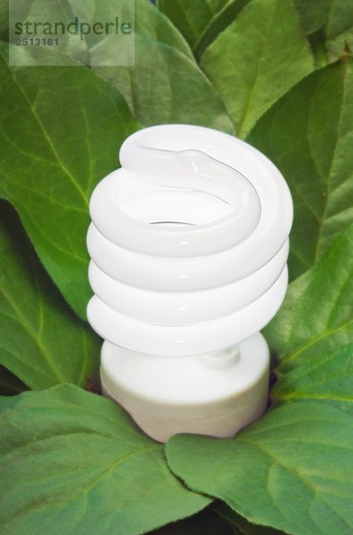 Energy-saving light bulb.