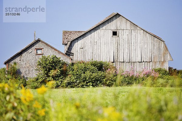 View of old barn  Bas-Saint-Laurent region  Quebec  Canada