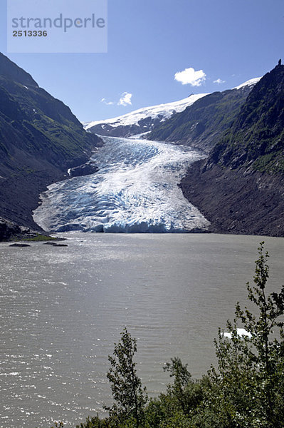 Bear Glacier  BC  Canada