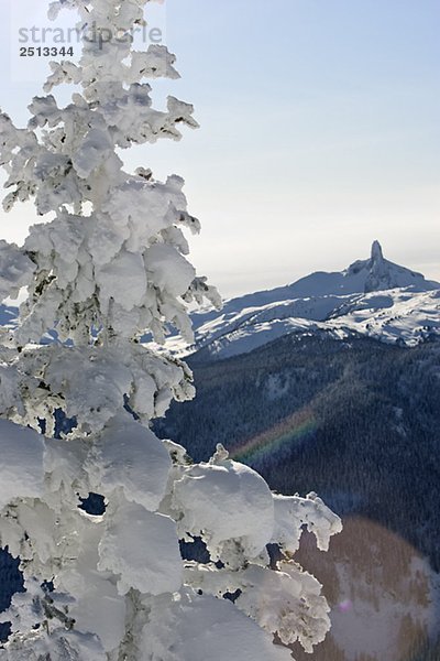 Black Tusk as seen from Whistler Mountain