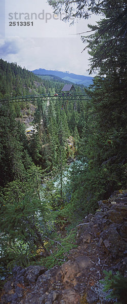 Bungee Jumping  Whistler  BC  Canada