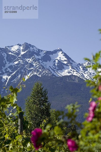 Mount Currie  Pemberton  BC  Canada