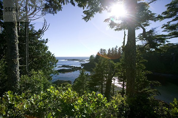 Wild Pacific Trail  Ucluelet  BC  Canada