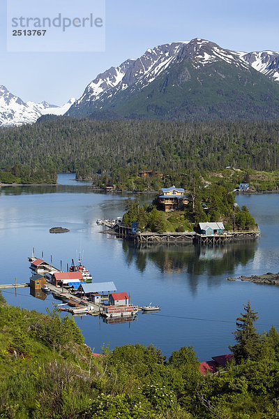 Heilbutt Cove in Kachemak Bay gegenüber von Homer  Alaska im Sommer