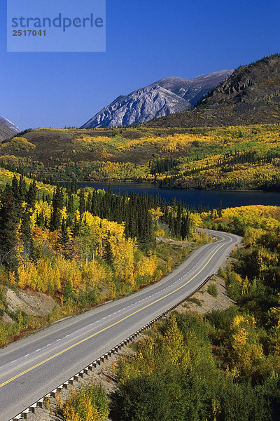 Herbstfarben entlang Klondike Highway Alaska-Yukon