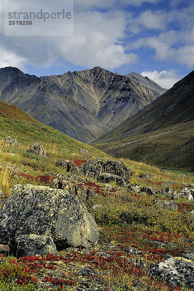 Tundra in der Nähe von Atigun Pass Phillip Smith CT AR AK Herbst Brookskette