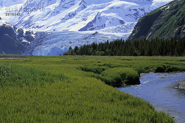 Gras gefüllt Glacial Valley @ Überraschung Gletscher PWS AK SC Sommer Chugach NF