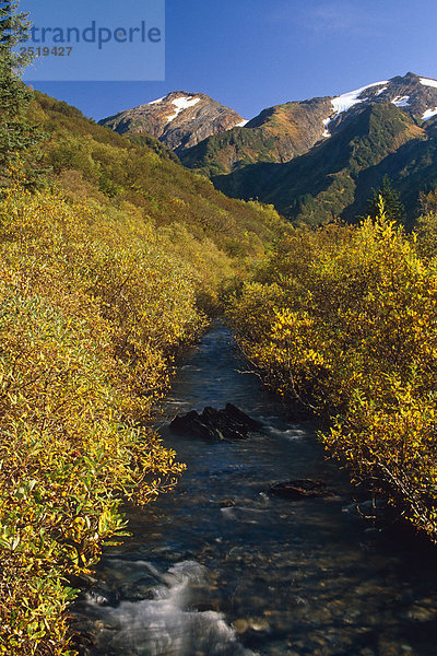 Gold Creek fließt in der Nähe von Perserverance Trail durch Herbst Wald Küste CT Juneau Alaska Tongass NF