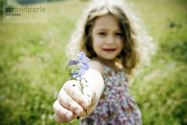 Mädchen hält Blume an Kamera