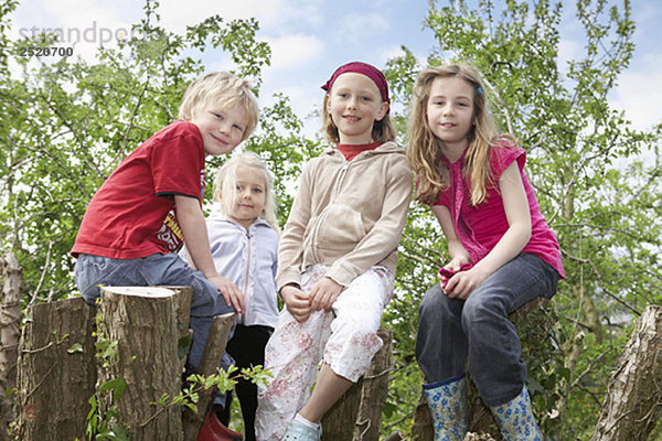 Vier Kinder in einem Baum