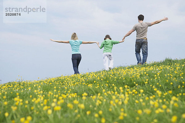 Familienspaziergang im Feld