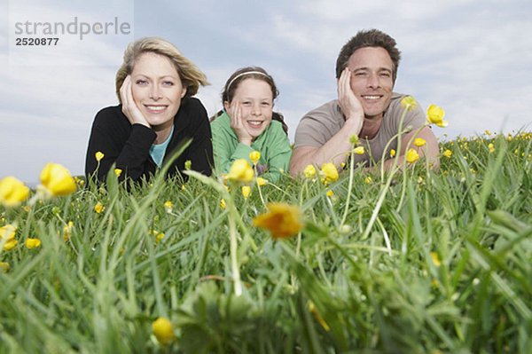 Porträt einer glücklichen Familie auf Gras liegend