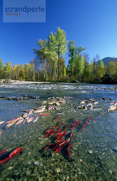 British Columbia