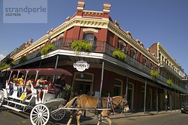 Pferd und Wagen  Old French Quarter  neue Orleans.