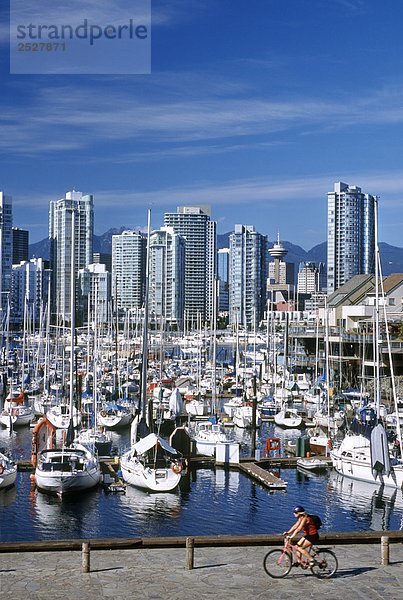 False Creek Marina  Vancouver  British Columbia.