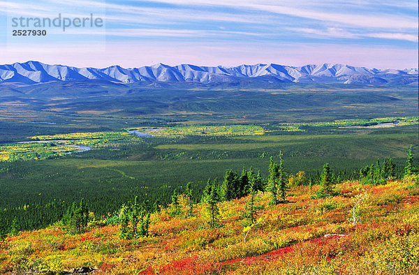 Blick vom Ogilvie Ridge Lookout  Dempster Highway  Yukon.