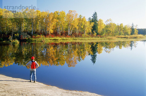 Herbst Bäume und Whiteshell River  Whiteshell Provincial Park  Monitoba.