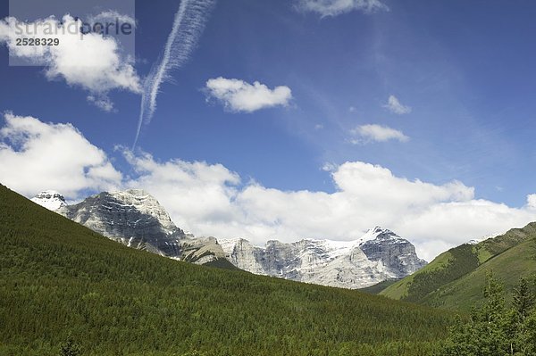 Berge  Kamamaskis  Alberta