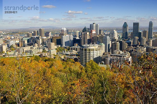 Skyline von Mont Royal  Montreal  Quebec
