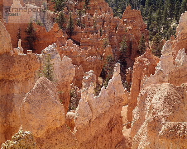 Erosion Formationen  Bryce Canyon  Utah