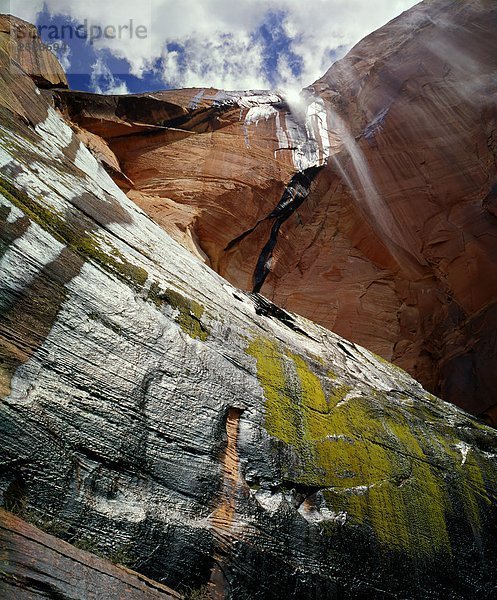 Wasserfall im Echo Canyon  Zion National Park  Utah