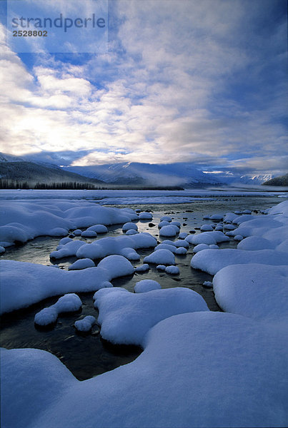 Chilkat River  Alaska
