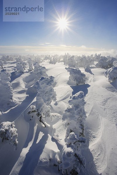 Mont Logan  Gaspesie Nationalpark  Québec