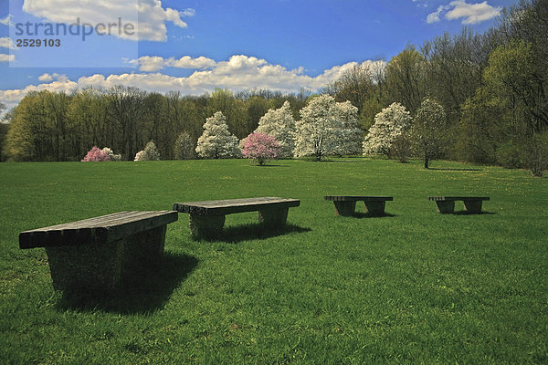 Bänke in einem Park