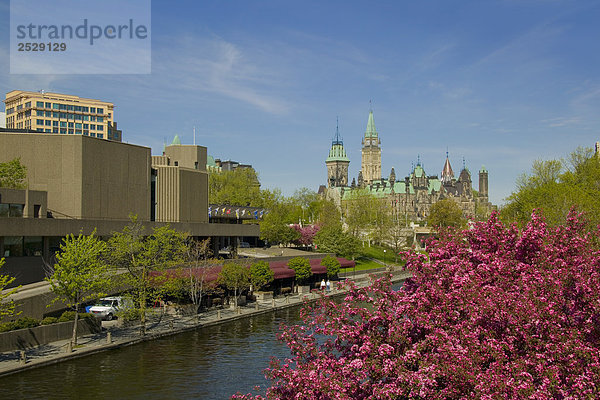Rideau Kanal und Blüten mit Parlamentshügel  Ottawa  Ontario