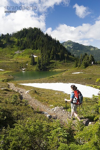 Frau Wandern  Olympic National Park  Washington