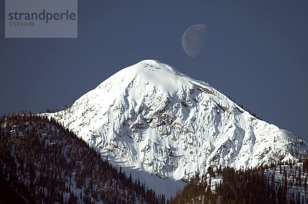 Mond über Elephant's Head Berg  Elk Tal  British Columbia