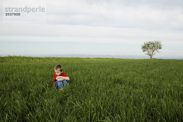 Junge sitzt alleine im Feld mit einzelnen Baum  Calgary  Alberta