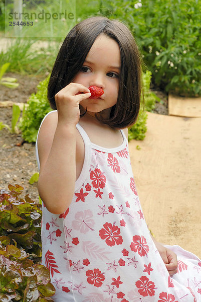 Junges Mädchen riechen einer Erdbeere