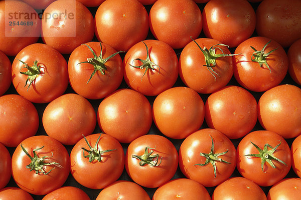 Stall Tomaten