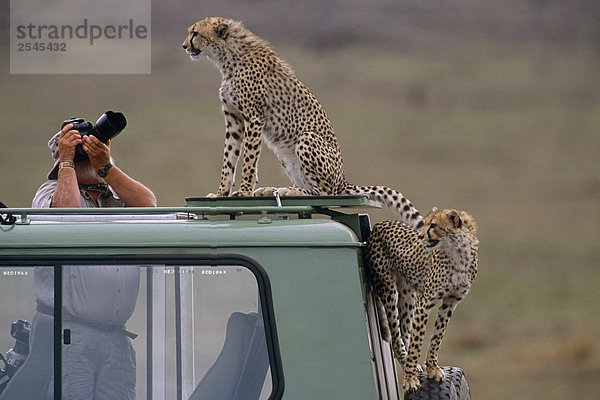 Mann Fotografieren Cheetah Fahrzeug Afrika