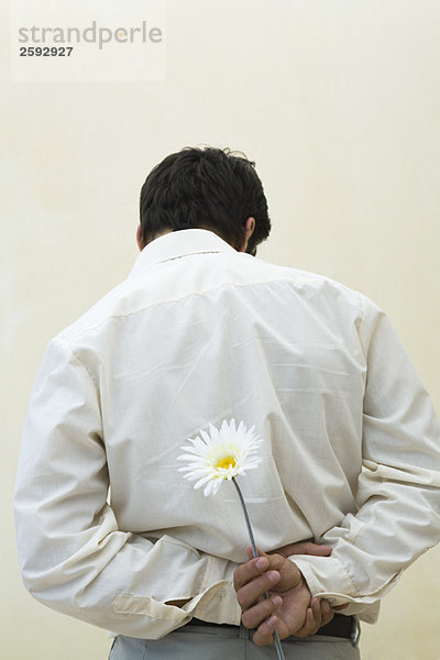Mann hält Blume hinter dem Rücken  Rückansicht