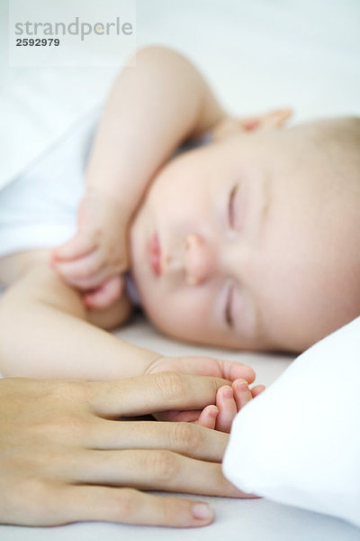 Erwachsener hält die Hand des schlafenden Babys  Ausschnittansicht