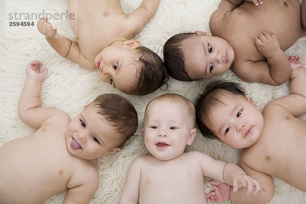 Fünf Babys liegen auf einem Schaffellteppich im Kreis  direkt darüber.