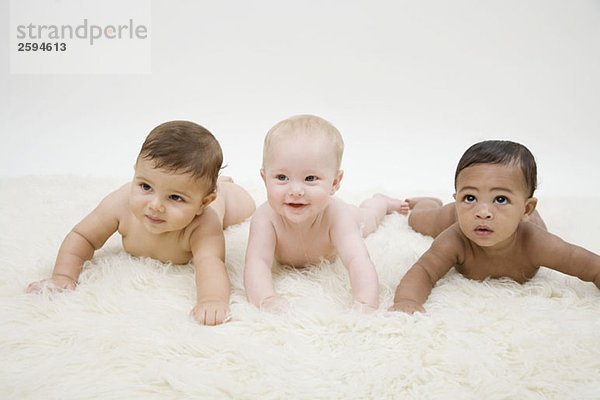 Drei nackte Babys in einer Reihe  vorne liegend