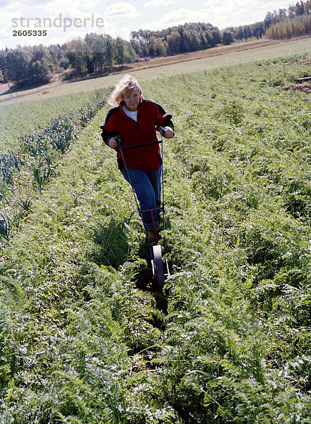 Eine Frau in ihrer ökologischen Ackerland Aloppe Schweden arbeiten