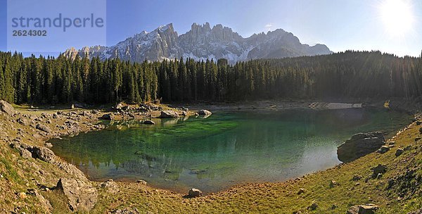 Bäume im Wald mit Gebirge im Hintergrund  Karerpass  Trentino-Alto Adige  Italien