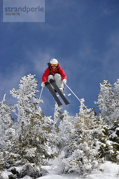 Skispringen über verschneite Bäume