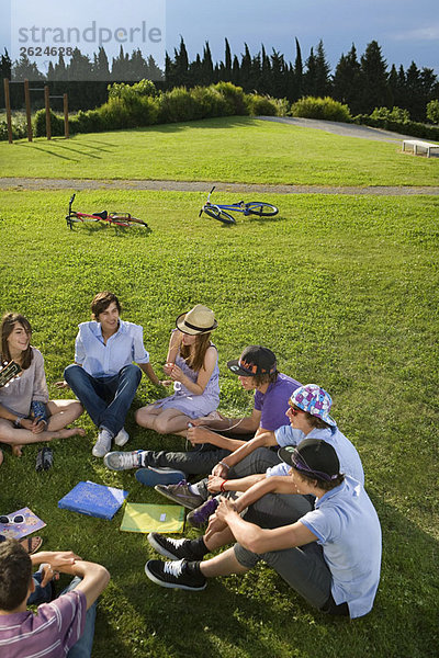 Teenagergruppe auf Rasen sitzend
