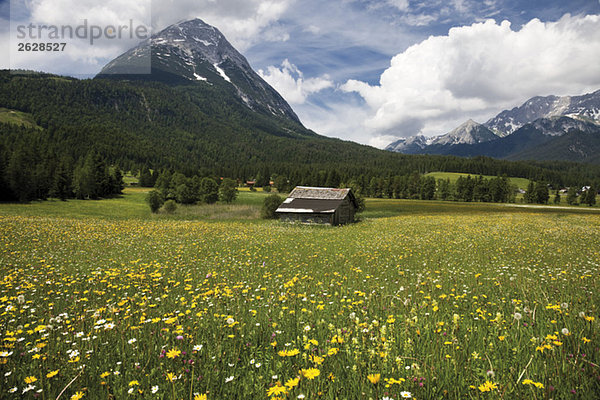Österreich  Tirol  Leutaschtal  Landschaft und Berge Hohe Munde im Hintergrund