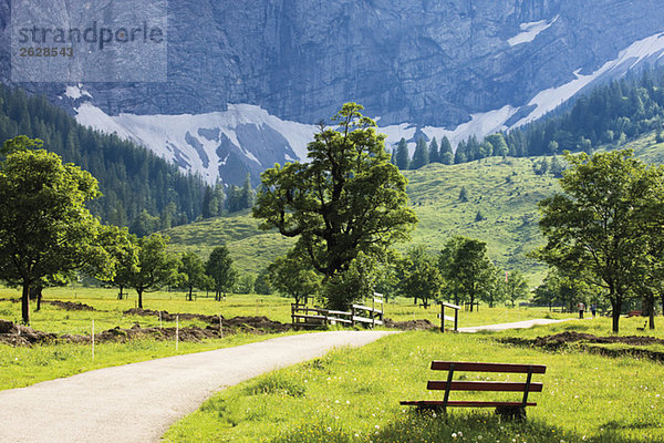 Austria  Tyrol  Landscape and bench